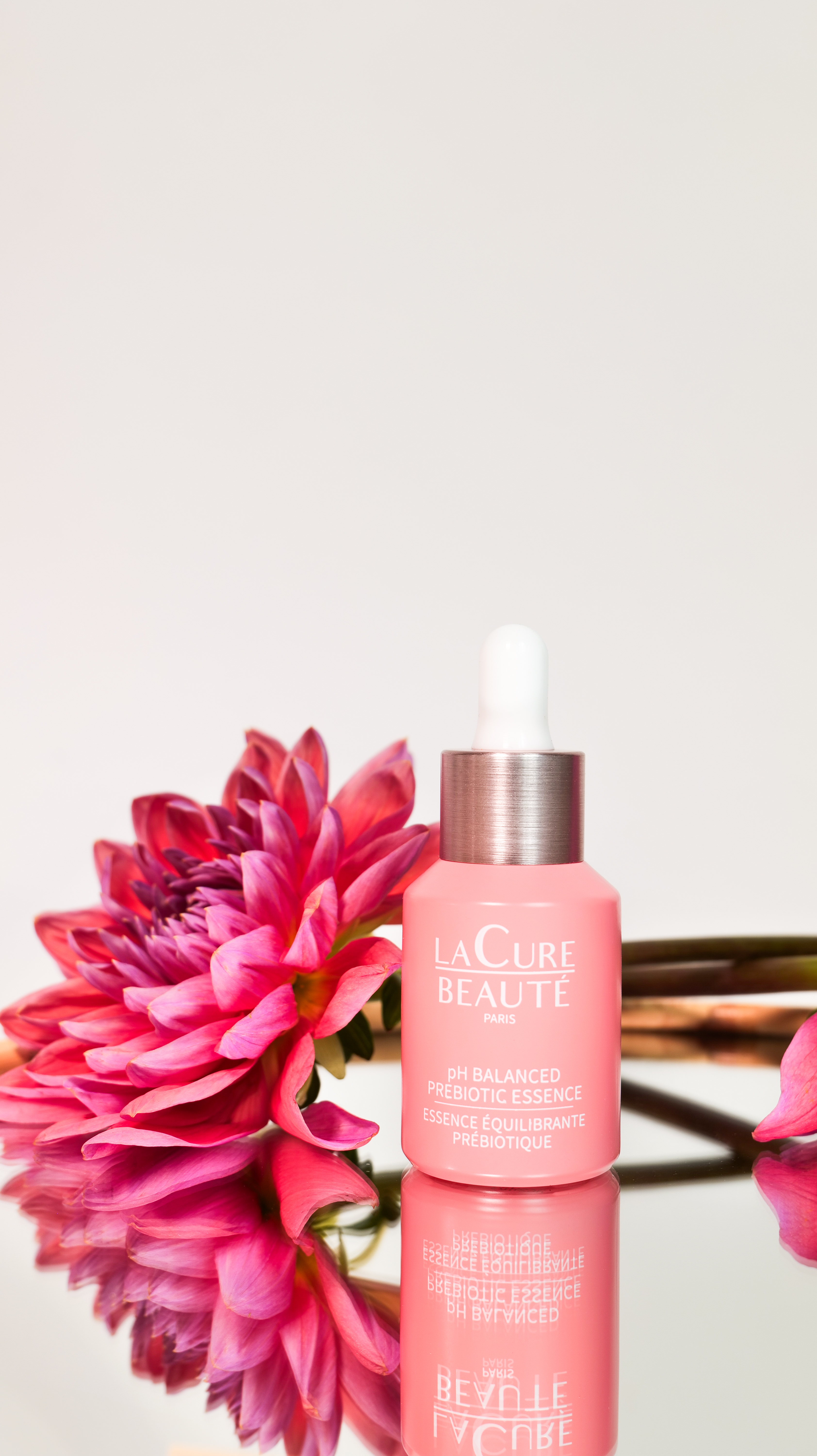 Image de Stage 3ᵉ année Interprestige